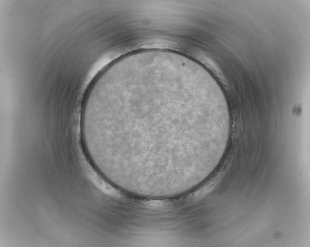 X0000093121130200710241257