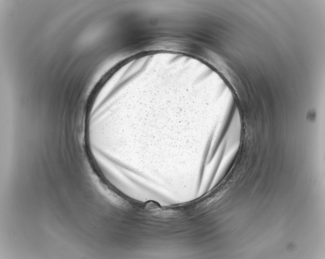 X0000093121131200710241257