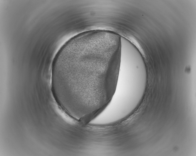 X0000093121132200710241257