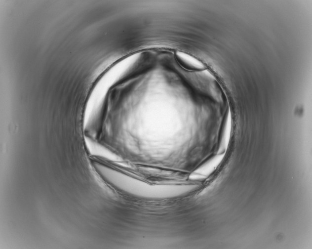 X0000093121137200710241257