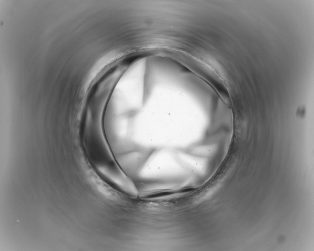 X0000093121138200710241257