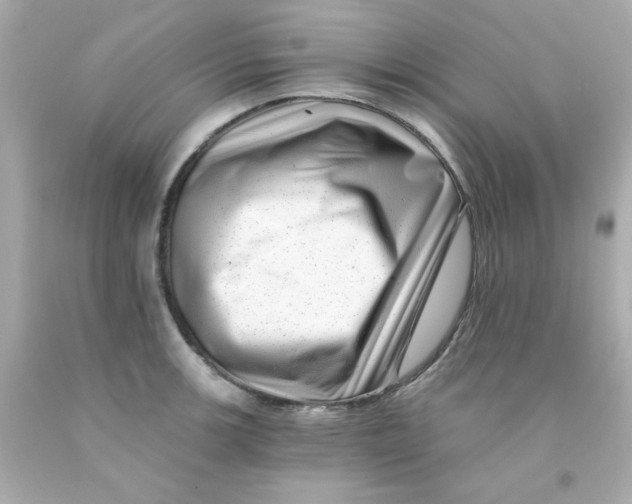 X0000093121139200710241257