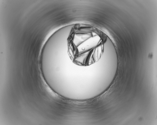 X0000093121140200710241257