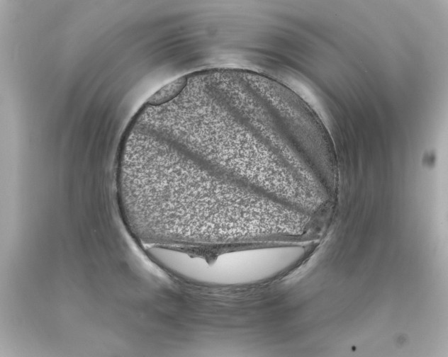 X0000093121141200710241257