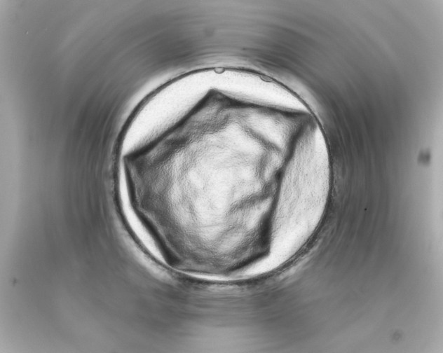 X0000093121142200710241257