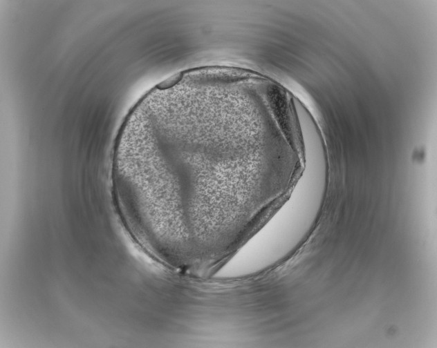 X0000093121144200710241257