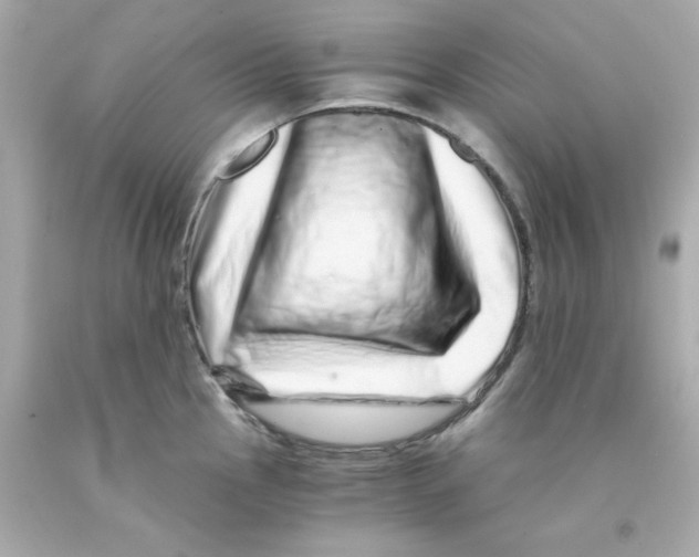 X0000093121145200710241257