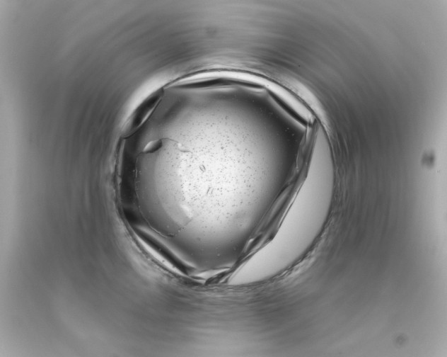 X0000093121146200710241257