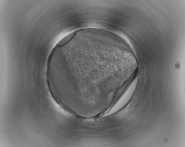 X0000093121147200710241257