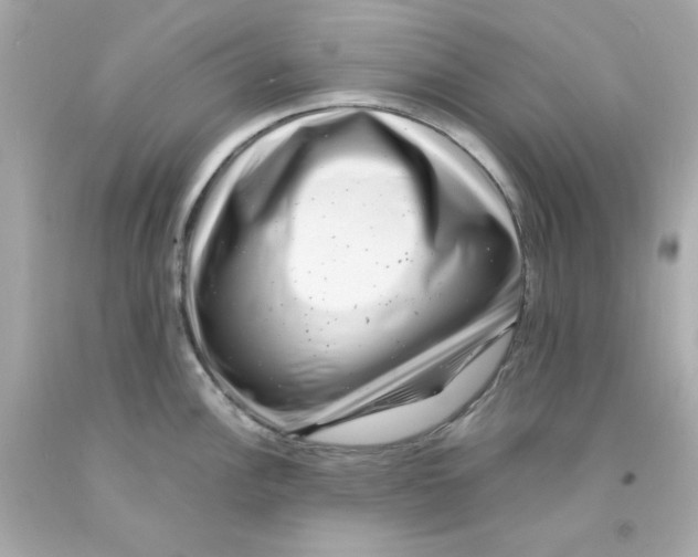 X0000093121148200710241257