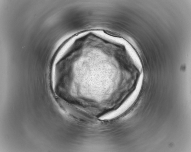 X0000093121149200710241257