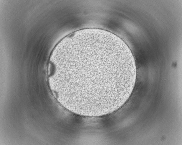 X0000093121150200710241257