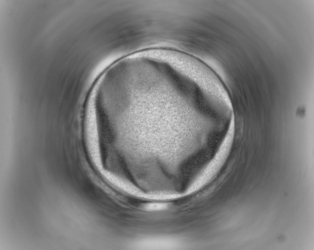 X0000093121151200710241257