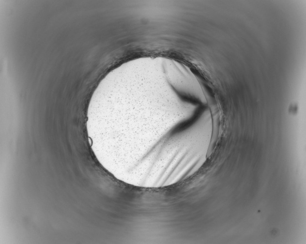 X0000093121153200710241257