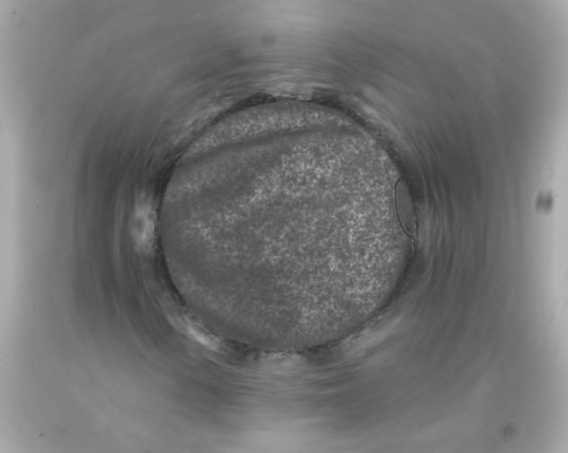 X0000093121154200710241257