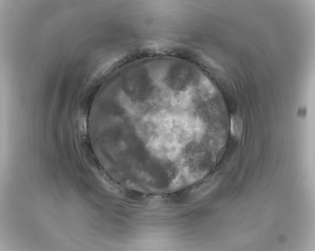 X0000093121155200710241257