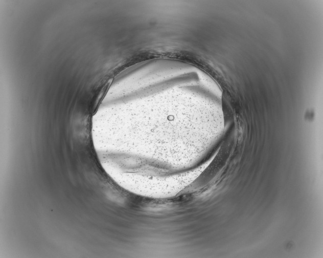 X0000093121156200710241257