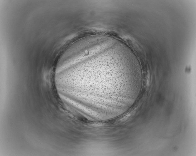 X0000093121157200710241257