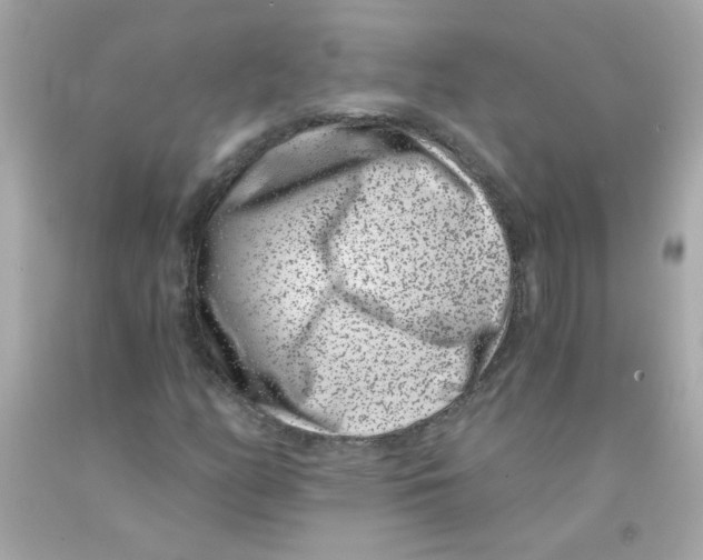 X0000093121158200710241257