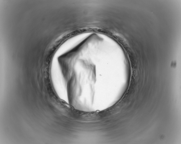 X0000093121159200710241257