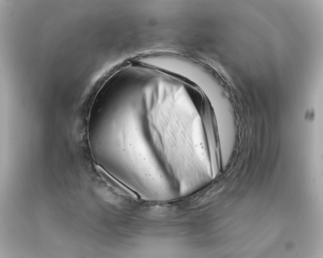 X0000093121160200710241256