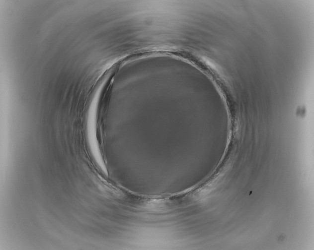 X0000093121161200710241256