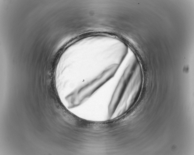 X0000093121163200710241256