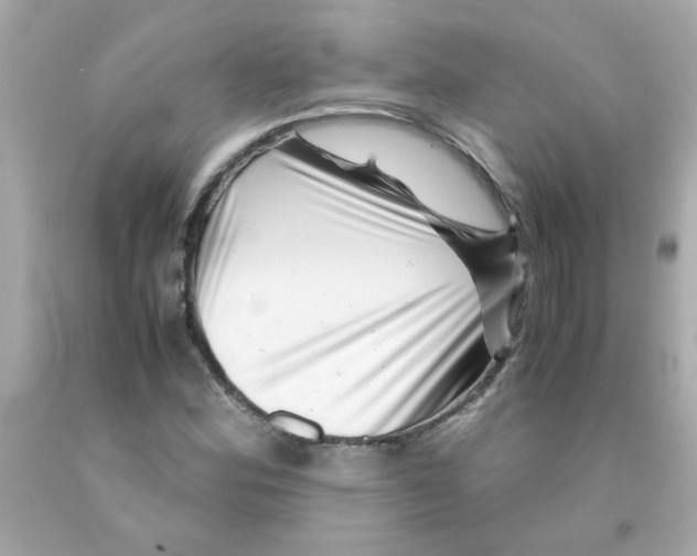 X0000093121164200710241256