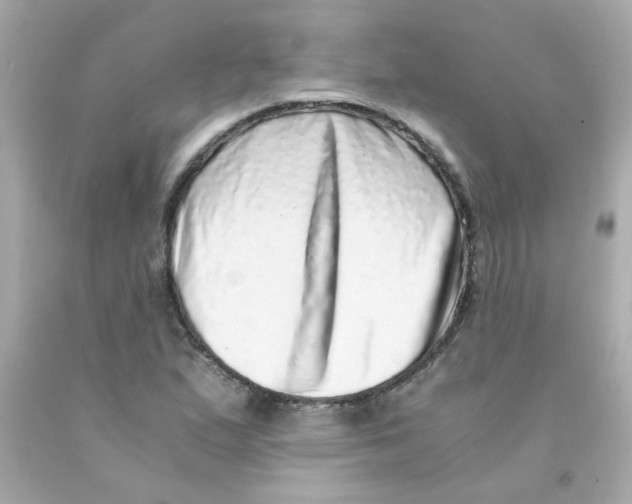 X0000093121167200710241256