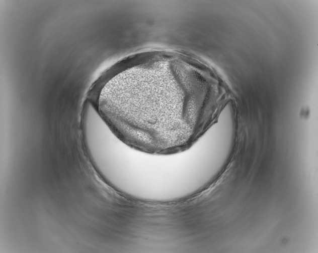 X0000093121168200710241256