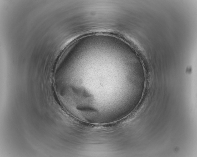 X0000093121169200710241256