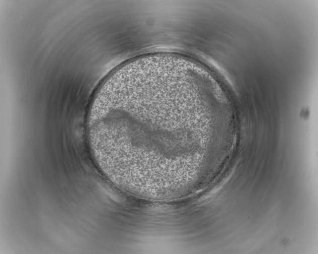 X0000093121170200710241256