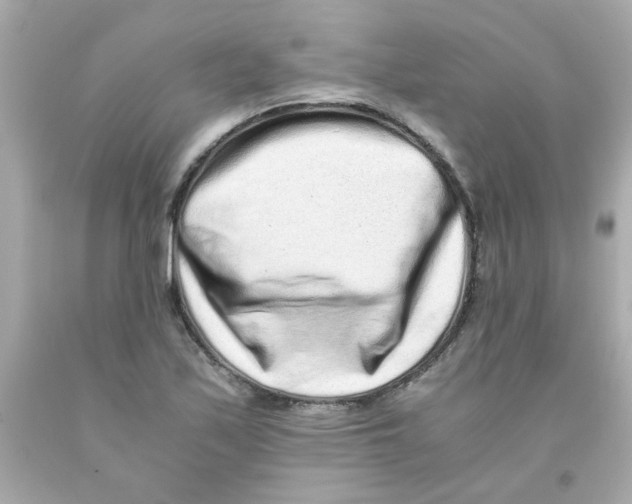 X0000093121171200710241256