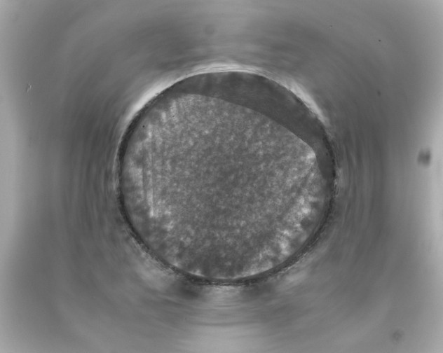 X0000093121173200710241256