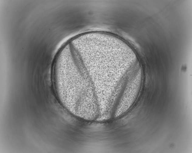 X0000093121174200710241256