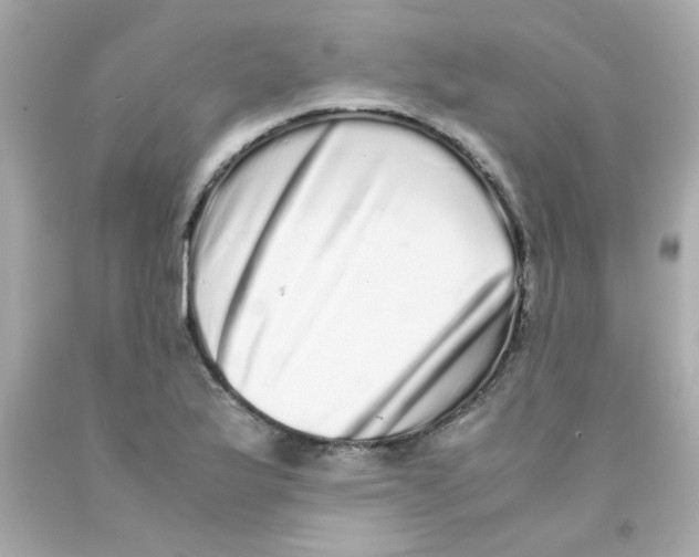 X0000093121175200710241256