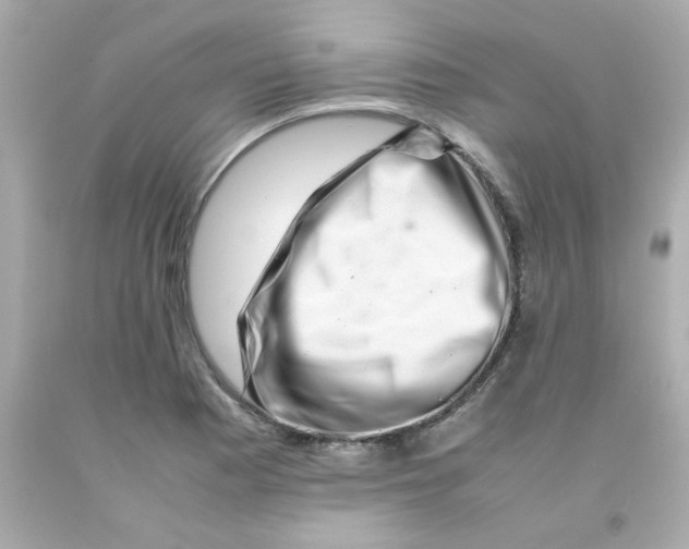 X0000093121177200710241256