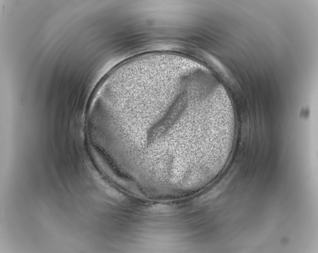 X0000093121178200710241256