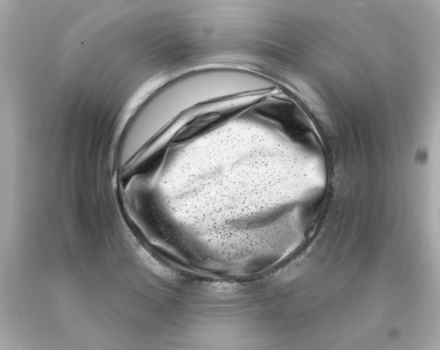 X0000093121180200710241256