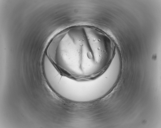 X0000093121181200710241256