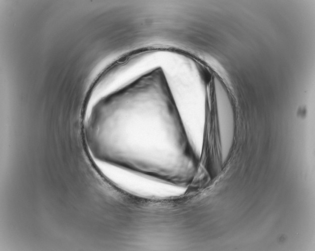 X0000093121183200710241256