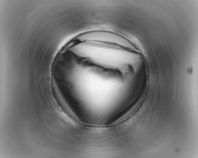 X0000093121184200710241256