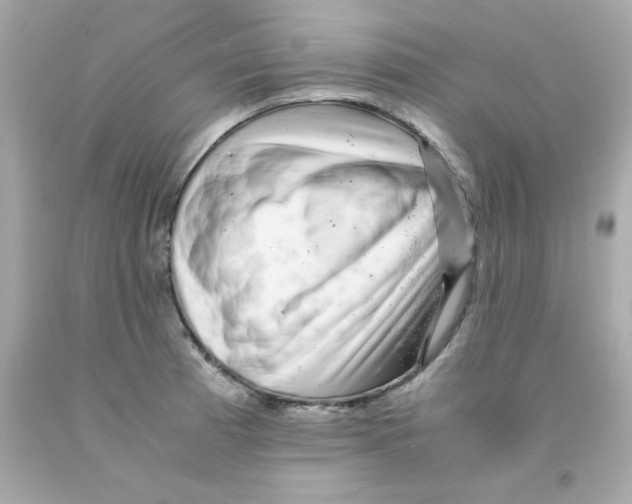 X0000093121185200710241256