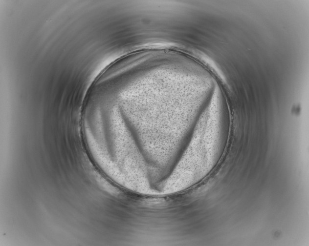 X0000093121186200710241256