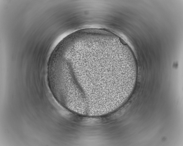 X0000093121187200710241256