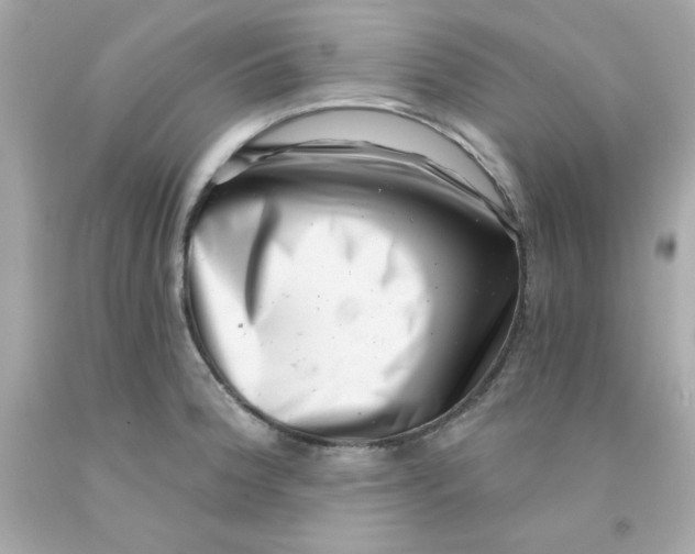 X0000093121188200710241256