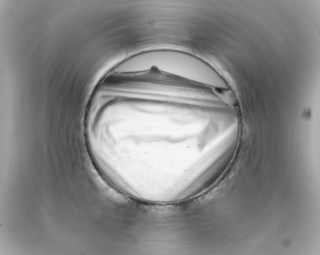 X0000093121189200710241256