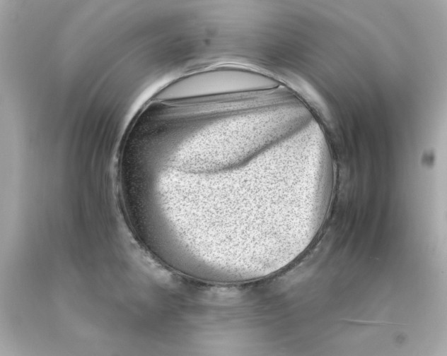 X0000093121190200710241256