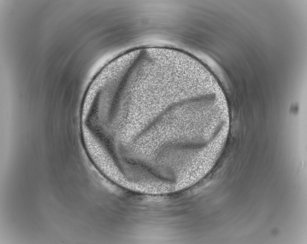 X0000093121191200710241256