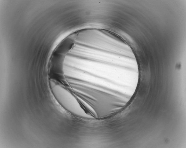 X0000093121192200710241256